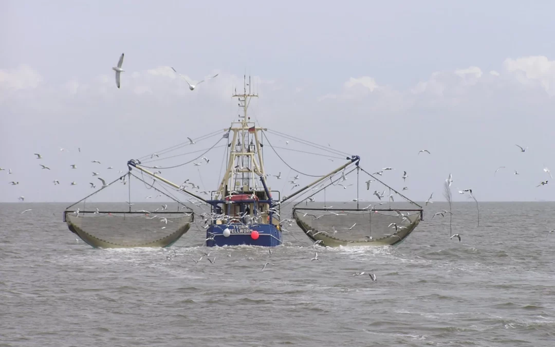 The Role of Marine Radios in Fisheries Management and Surveillance
